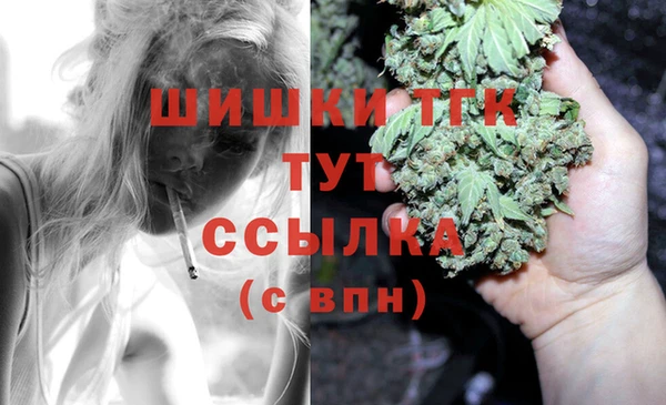 гидра Белокуриха