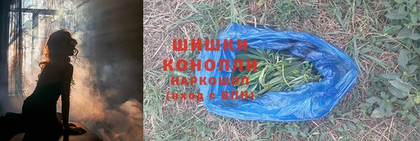 гидра Белокуриха