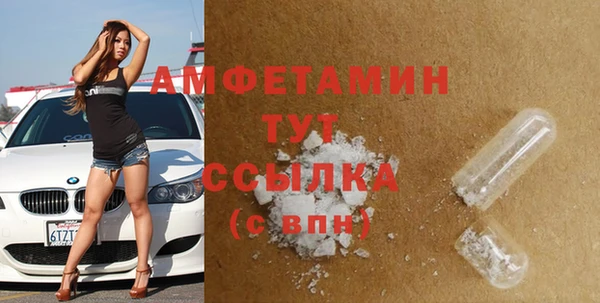гидра Белокуриха